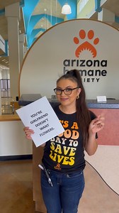 We have lots of pets looking for love this Valentine’s Day. 🐾💐 View all adoptable pets at www.azhumane.org/adopt 💘 #valentinesday #adopt #azhumane | Arizona Humane Society