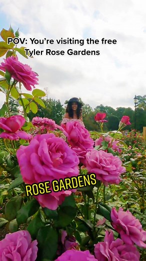 These incredible gardens are so stunning in Spring #texas