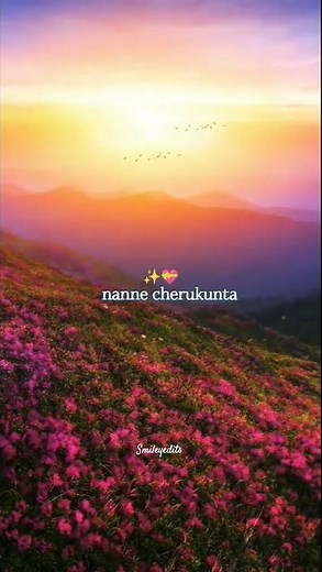 Puvvulaku Rangeyala | Shreya Ghosal songs #JoruMovie #SmileyEdits#TeluguLyricsVideo#yt