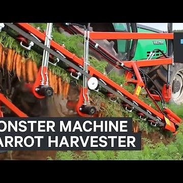 This monster machine is the ultimate carrot harvester
