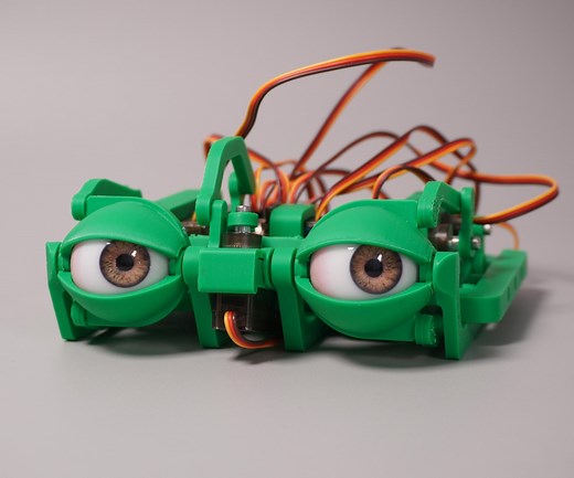 Animatronic Eye Mechanism