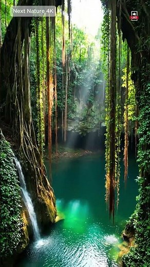 The Secret Lake of Africa 🌿✨ | Untouched Forest Beauty in 4K