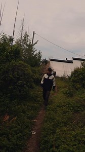 Building a Duck Nest ②: Chopping Bamboo! #FarmDevelopment #FarmStories | Planting with Kuan