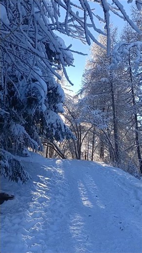 Pila, Aosta Valley 🇮🇹 #snow #shorts #natal2025