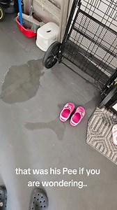 894K views · 3.8K reactions | See our  lovely neighbour ~~ Apply OCBC 365  https://foodiesg.co/3t7UpyT (Free Apple iPad 9 / Apple Bundle / S$340 eCapitaVoucher / S$320 Cash) | Singapore Stuff | Facebook