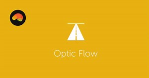 Optic Flow