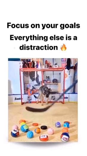 This is how some good actors choses great scripts for their movies and shine like stars|