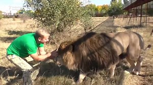 Crimean Safari Park Fights For Survival