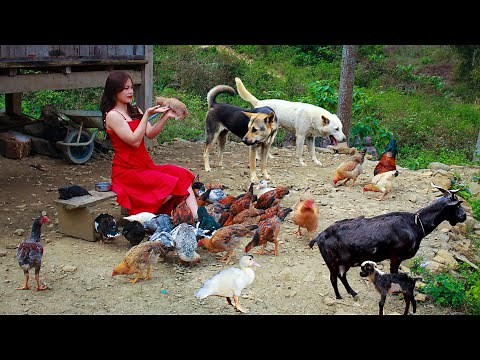 Full Video Building New Life | Build a large farm, breed and grow crops alone | Live with nature