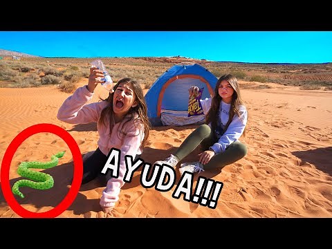 24 hours SURVIVING in the DESERT