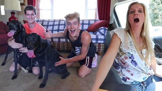 We trade dogs for a day to see if anyone notices