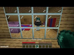 what's in minecraft mirror?