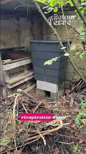 « Intégrer plutôt que séparer » : voici un des 12 principes de la #permaculture selon David Holmgren