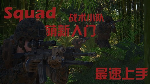 SQUAD战术小队快速入门萌新教学 如何改画面设置 熟悉武器 进入正确服务器 解决BUG 开局干什么 一条龙服务直接开战