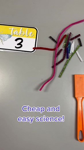 Super Cheap Science Activity for PreK Students