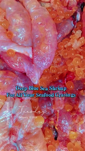 Deep Blue Sea Shrimp🦐 (@deepbluseashrimp)’s videos with nhạc nền - MUSIC DJ DANCE 88