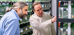 UK scientists believe salamanders may hold key to human regeneration