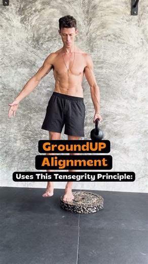 Fascia connects every muscle and joint