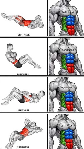 six pack abs exercises #shorts #abs #sixpackabs #fitness #motivation #shortvideo #absworkout #usa