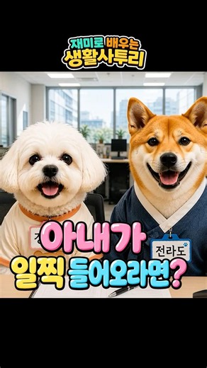 생활사투리 | 아내가 “오늘 일찍 들어와”라고 한다면? 경상도 VS 전라도 #전라도사투리 #전라도 #경상도사투리 #경상도 #래브라두들 #사투리 #shorts