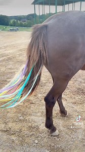 Kommi got hair extensions 😂 | IamGlytja