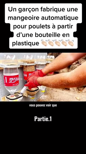 Mangeoire automatique pour poulet à partir d'une bouteille en plastique | Élevages Leaders