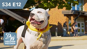 1.7K views · 23 reactions | Catch an early debut of our newest Discover Wisconsin episode, 'Town of Brookfield', exclusively on our DW+ app before it hits broadcast! Watch here: https://bit.ly/3hOXtaF . : Discover Brookfield | Discover Wisconsin | Facebook