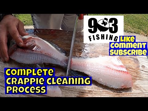 How To Fillet Crappie Easy ➕ Trim, Clean, & Bag Your Crappie Fillets (My Process)