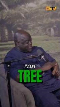 PALM CREST ESTATE, WEALTH MADE EASY #palmoil #palmplantation #palmoil #palmcrest #investing