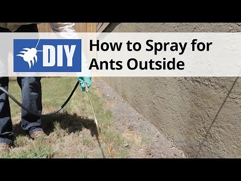 How to Spray for Ants Outdoors | DoMyOwn.com