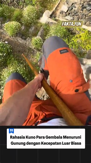 Fakta Fun on Instagram: "Teknik Kuno Para Gembala yang Bikin Turun Gunung Super Cepat #faktafun #faktaunik #faktamenarik"