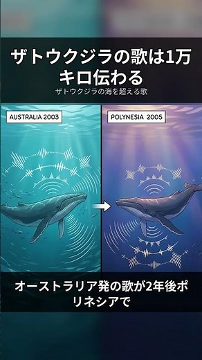 Humpback whale songs spread across the ocean and around the world every year #Shorts