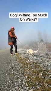 37K views · 4.6K reactions | People constantly ask us: “How do I stop...