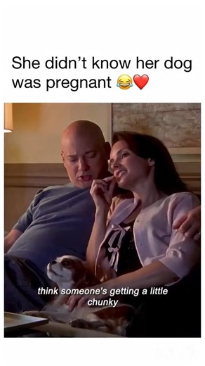 Charlotte was so unhinged 😂 #dog #movie #viral #explore #shorts #feed #family #drama #comedy #funny