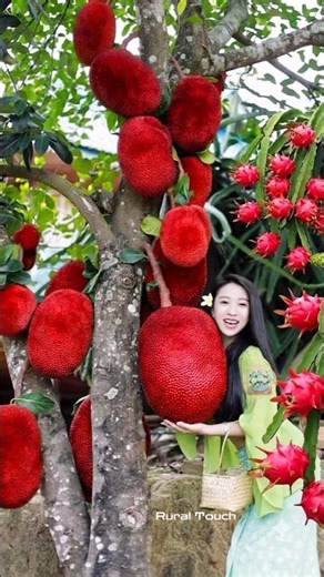 Beautiful nature with rural life –harvest fresh fruits in the summer 🍒🍇🍑 #fruit #shorts #yummy