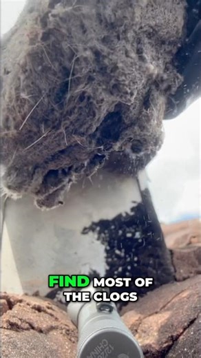 Clean Your Dryer: Essential Areas You Can't Miss #shorts