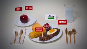 Fed Up (2014) - Transcript - Scraps from the loft