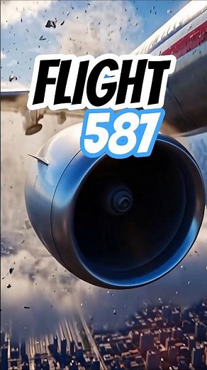 What Really Happened to Flight 587?