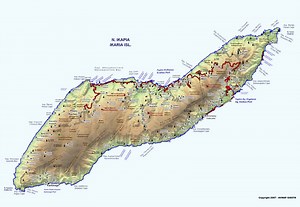 Ικαρία: Δασικοί χάρτες - Πράσινη Μετάβαση - "Διακατεχόμενα" δάση - ertnews.gr