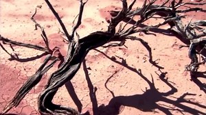 Scientist shows how cannabis has thousands of uses