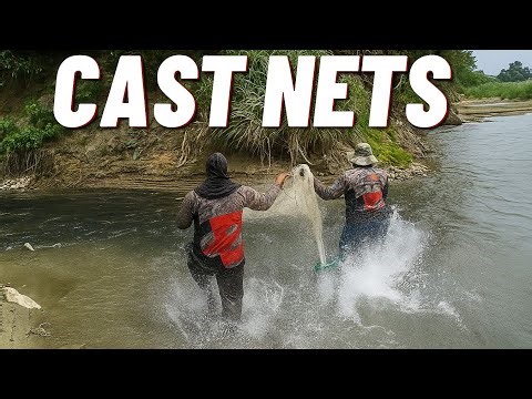 Fish video big net fishing , 😲 Unbelievable Big Net Fishing – Monster Fish Caught!