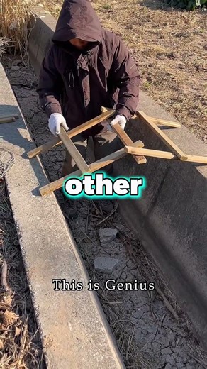 Self Supporting Bridge No Nails, Just Physics!