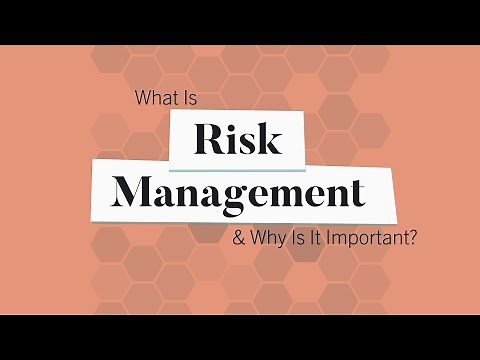 What Is Risk Management & Why Is It Important? | Business: Explained