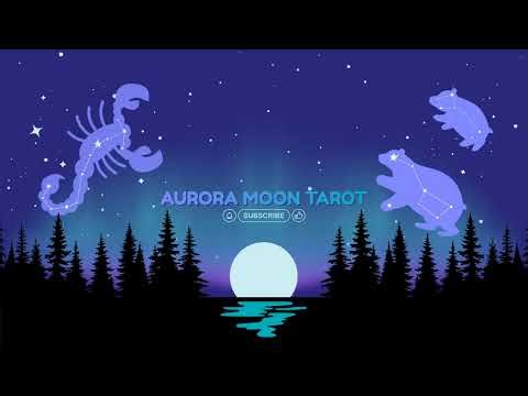 🚀Tuesday Mission #WorldWildlifeDay #ScatterStardust