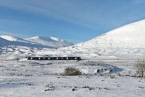 Public transport - Top five reasons to take the bus