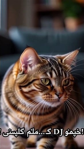 Dancing Cat with Headphones | DJ Cat Vibes 🐱🎧