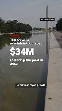 Why the Reflecting Pool in Washington DC looks green