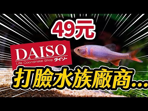 你還在買2000元的過濾器？Easy!! DIY BEST aquarium filter