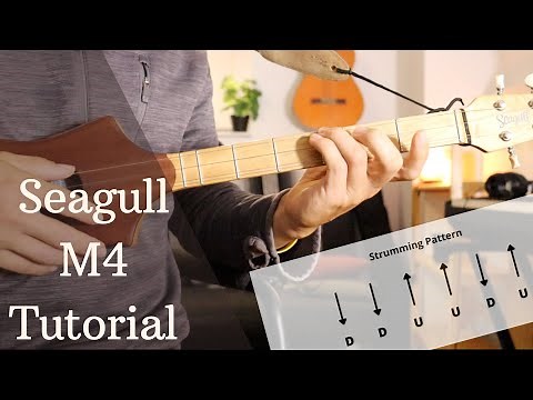Seagull Merlin M4 // Chord Progression Tutorial