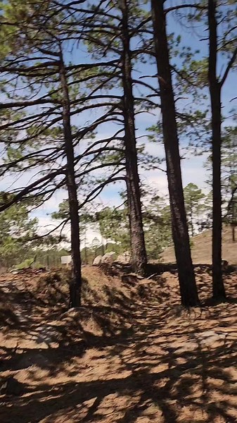 Las sombras estenopeicas en eclipses solares